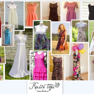 Kokkuvõte aastast 2013